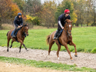 BP011124-42 - Ben Pauling Stable Visit